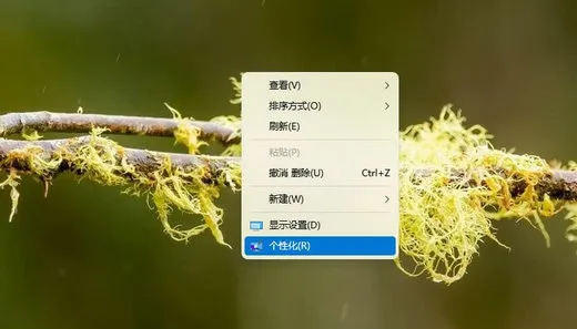 windows11桌面图标显示不出来怎么