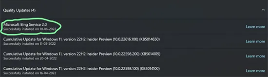 win10/11Bing Service 2.0更新是什