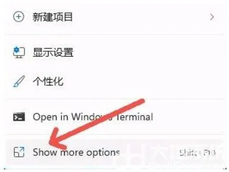 win11显示更多选项怎么设置 win11