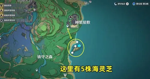 原神海灵芝在哪里采集 原神海灵芝采集路线2022