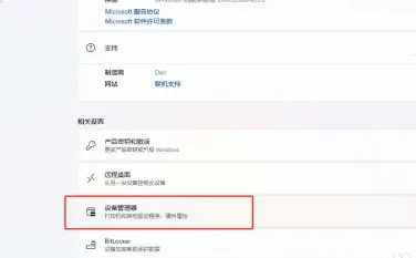 windows11怎么查看显卡型号 windows11显卡型号查看教程