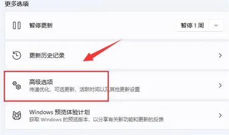 win11下载速度慢怎么办? win11下载