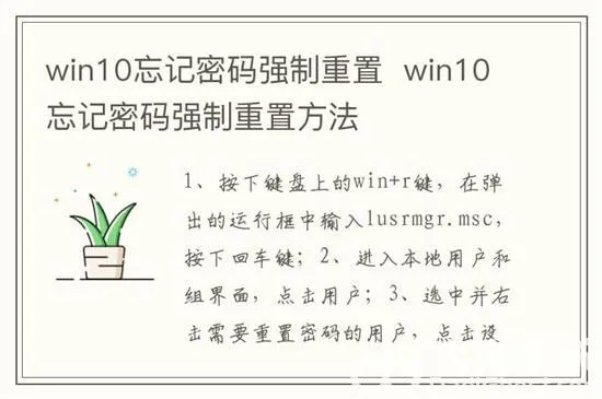 win10忘记密码强制重置怎么操作 win10忘记密码强制重置方法介绍