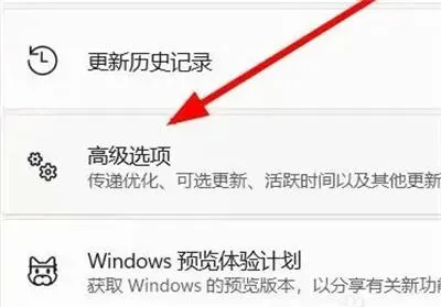 win11预览计划关不掉怎么回事 win1