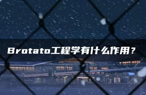 Brotato工程学有什么作用 Brotato