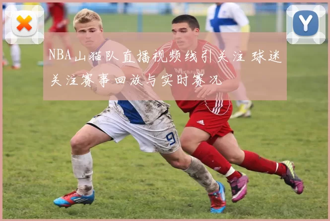 NBA山猫队直播视频线引关注 球迷关注赛事回放与实时赛况