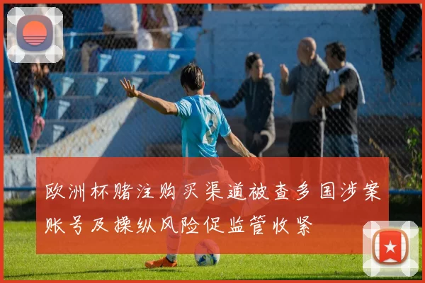 欧洲杯赌注购买渠道被查多国涉案账号及操纵风险促监管收紧
