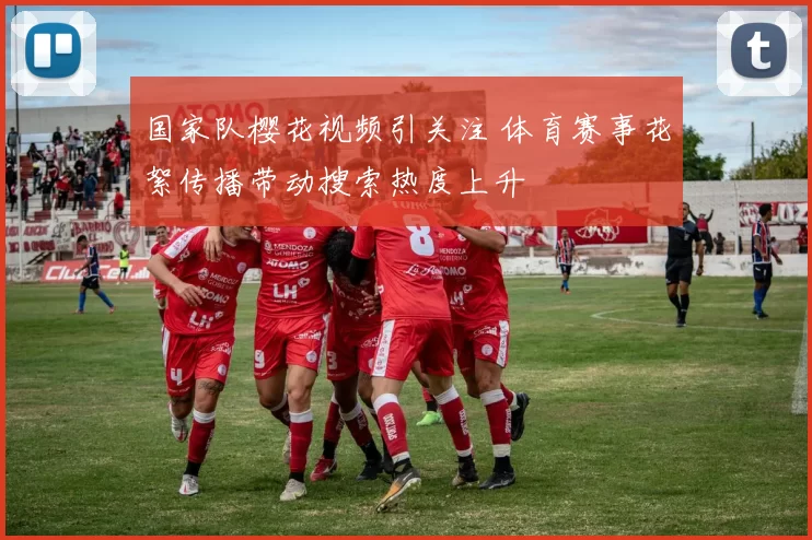 国家队樱花视频引关注 体育赛事花絮传播带动搜索热度上升