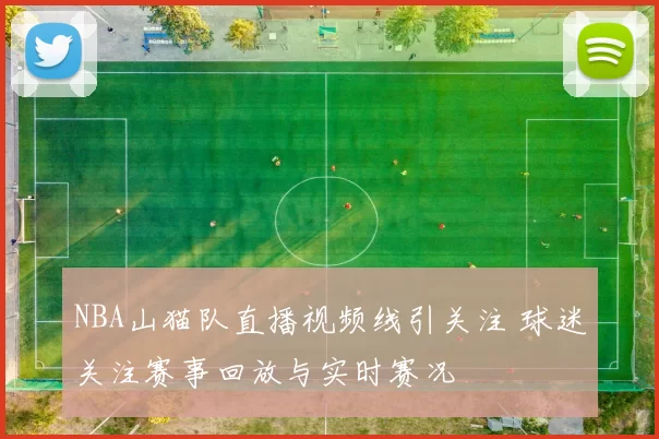 NBA山猫队直播视频线引关注 球迷关注赛事回放与实时赛况