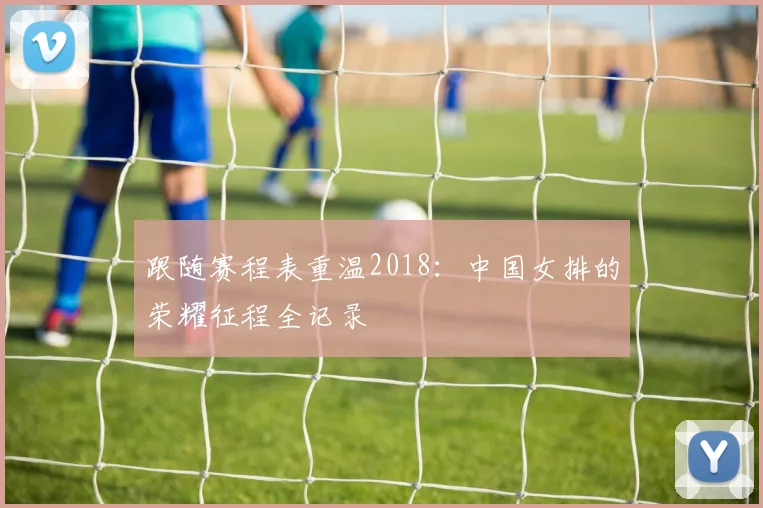 跟随赛程表重温2018：中国女排的荣耀征程全记录