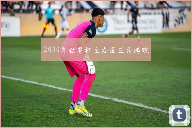 2030年世界杯主办国正式揭晓