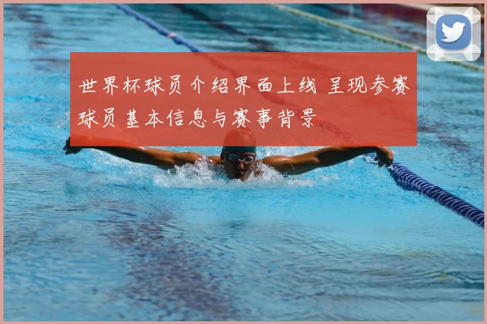 世界杯球员介绍界面上线 呈现参赛球员基本信息与赛事背景
