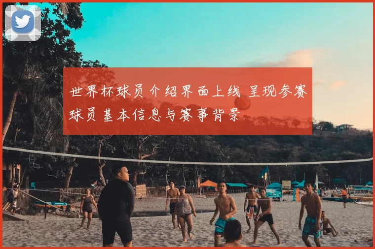 世界杯球员介绍界面上线 呈现参赛球员基本信息与赛事背景