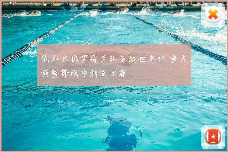 范加尔执掌荷兰队备战世界杯 重点调整锋线冲刺淘汰赛