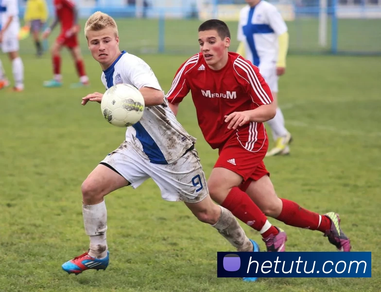 开云手机·官方版网站登录入口 - 开云(中国)全站App